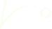 Vector